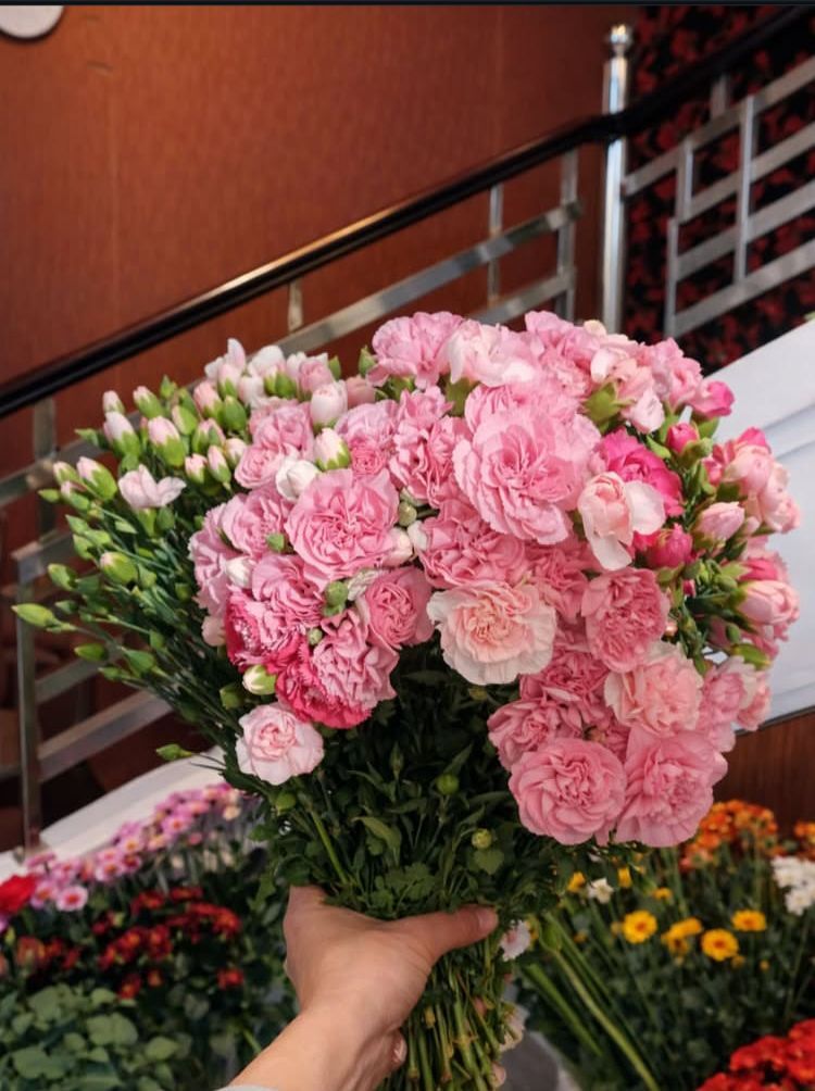 Carnation