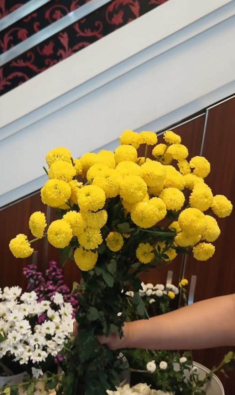 Pompom Kuning