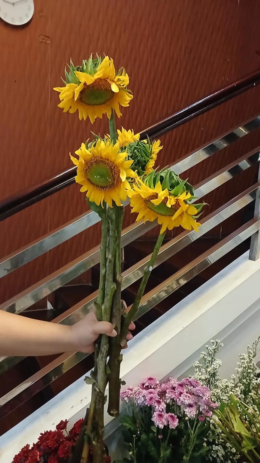 Sunflower